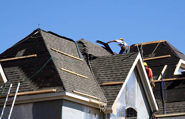 Best Roof Gutter Cleaning  in Quincy, FL