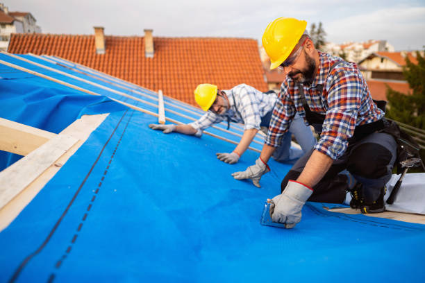 Best Local Roofing Companies  in Quincy, FL