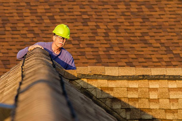 Best Storm Damage Roof Repair  in Quincy, FL